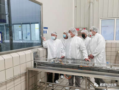 法律的本質(zhì)與功能